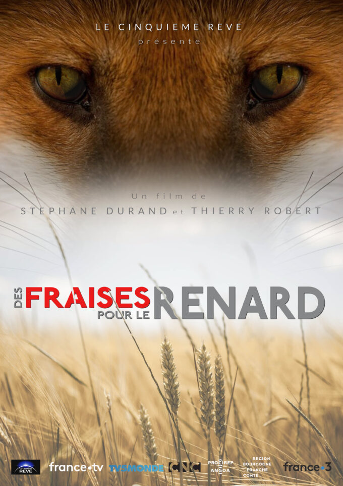 AFFICHE DES FRAISES POUR LE RENARD_V3