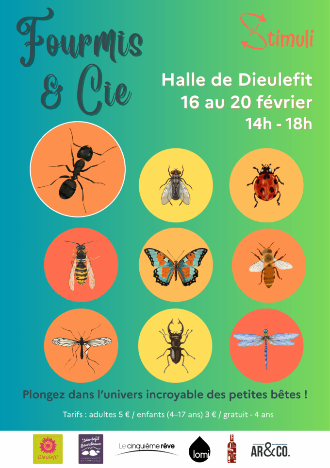 Expo Fourmis & Cie hiver 2026