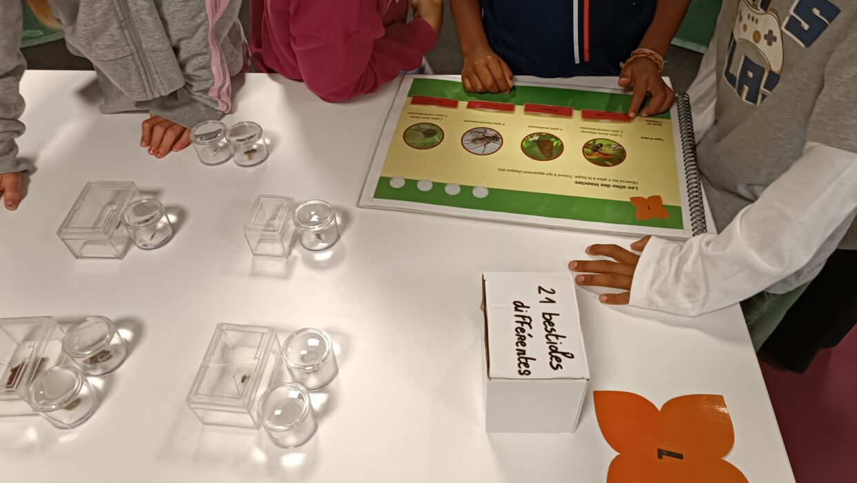 Visuel science hiver 2026 (2)